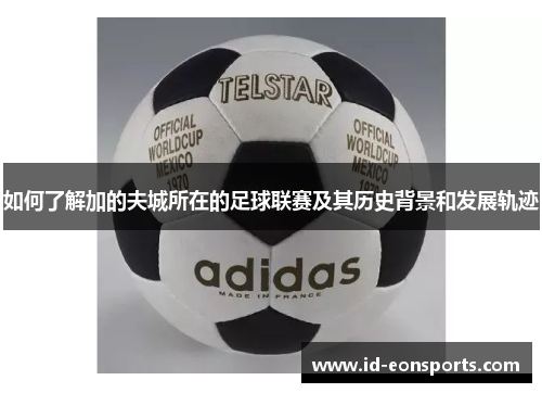 如何了解加的夫城所在的足球联赛及其历史背景和发展轨迹